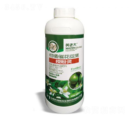 1000g���ٴ߻��ٹ��ڷ���-���ϴ�-�ƺ�����