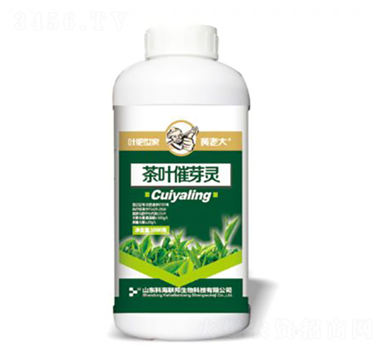 1000g��Ҷ��ѿ��-���ϴ�-�ƺ�����