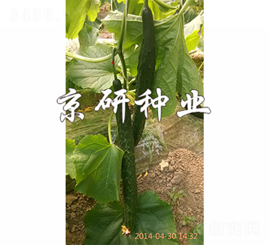 ����16-�ƹ�����-����