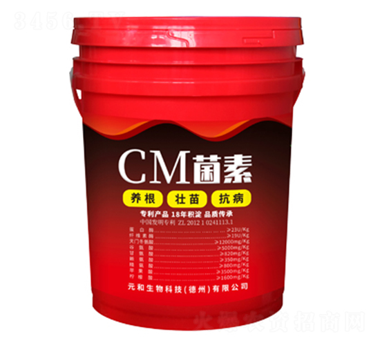 CM����-Ԫ������