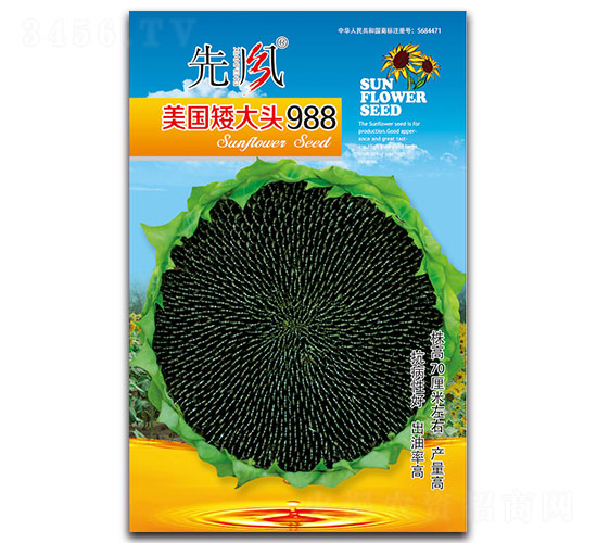 ��������ͷ988-�Ϳ�����-�ȷ�