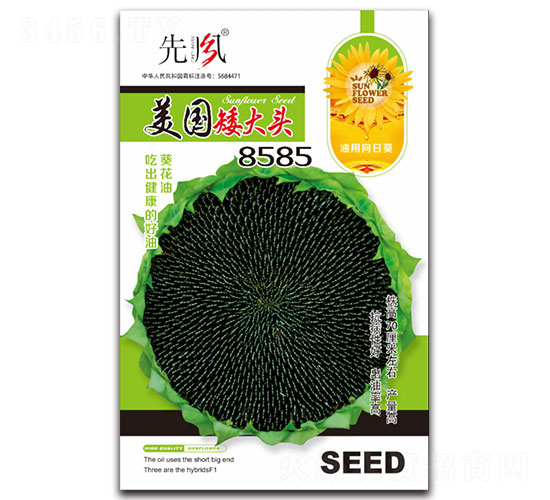 ��������ͷ8585-�Ϳ�����-�ȷ�