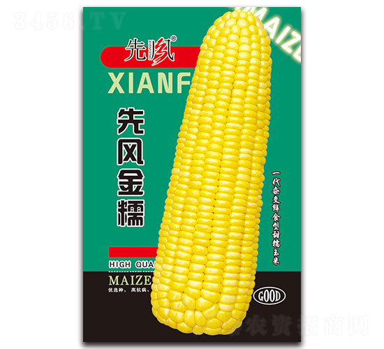 �ȷ��Ŵ-Ŵ��������-�ȷ�