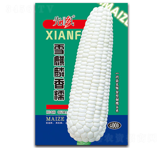 ѩ������Ŵ-Ŵ��������-�ȷ�