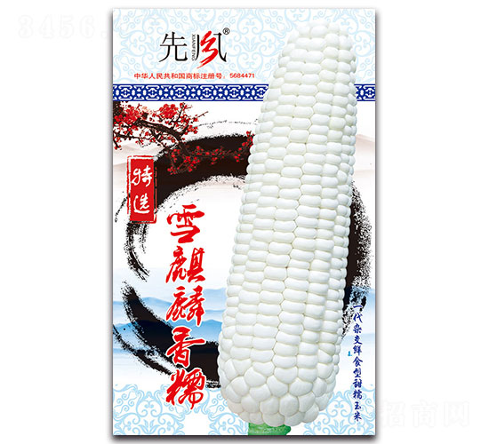 ѩ������Ŵ-��Ŵ��������-�ȷ�