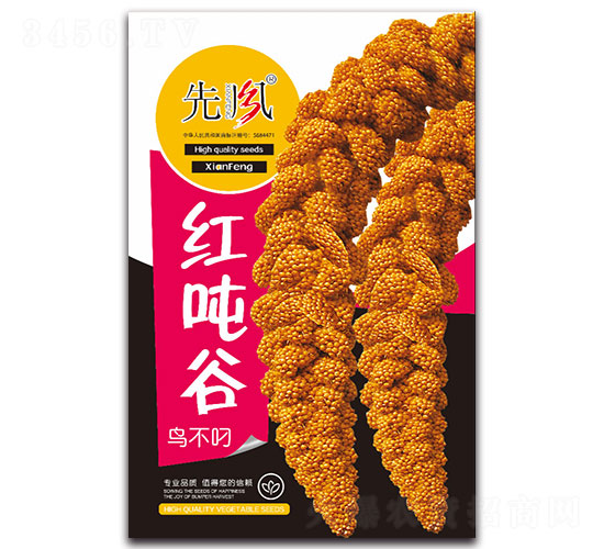 ��ֹ��񲻵�-��������-�ȷ�