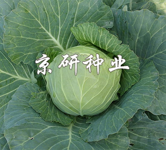 ����611-��������-����