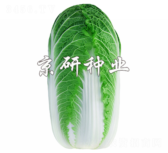 ������3��-���޲�����-����