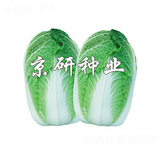 ������4��-���޲�����-����