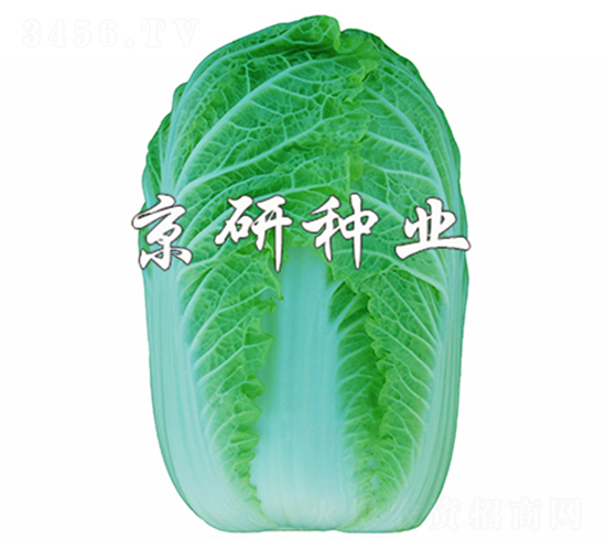 ������5��-���޲�����-����