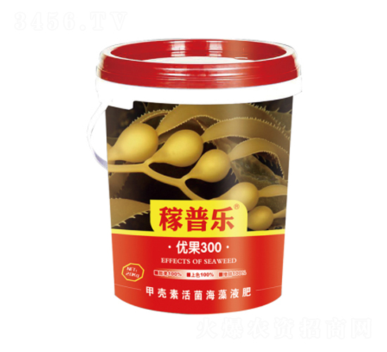 �Ź�300-������-�����ҵ