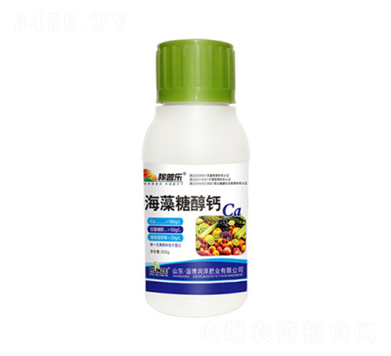 �����Ǵ���-������-�����ҵ