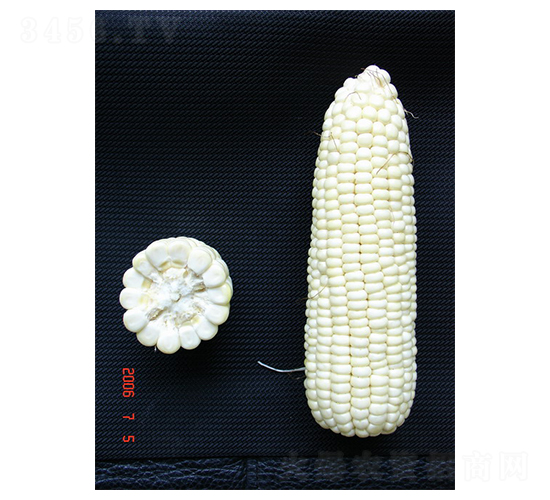 ����Ŵ1��-Ŵ��������-��ũ��