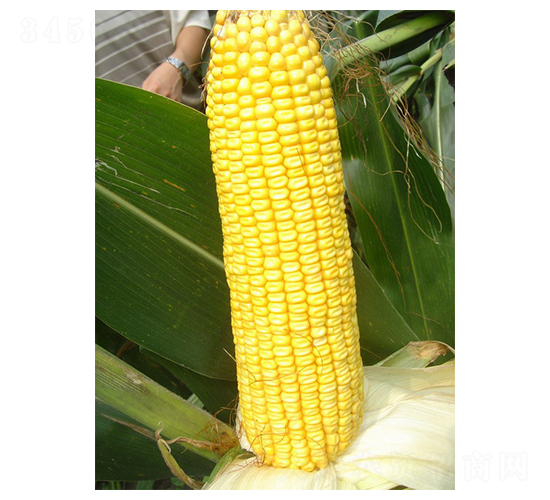 ����18-��������-��ũ��