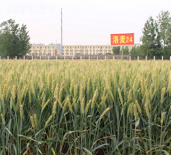 ����24-С������-��ũ��