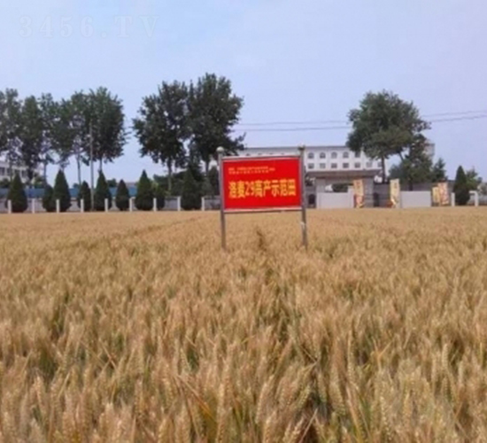 ����29-С������-��ũ��