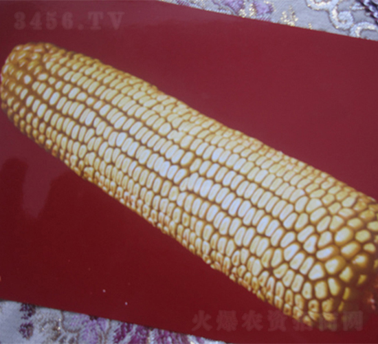 ũ��3-��������-ũ����ҵ