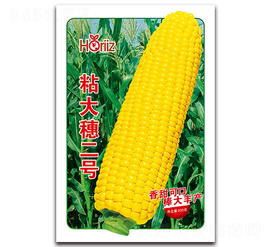 ճ�������-Ŵ��������-����˹