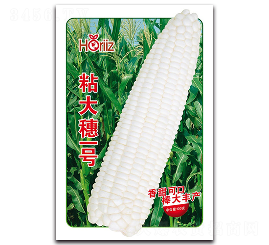 ճ����һ��-Ŵ��������-����˹
