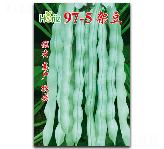 97-5�ܶ���-��������-����˹