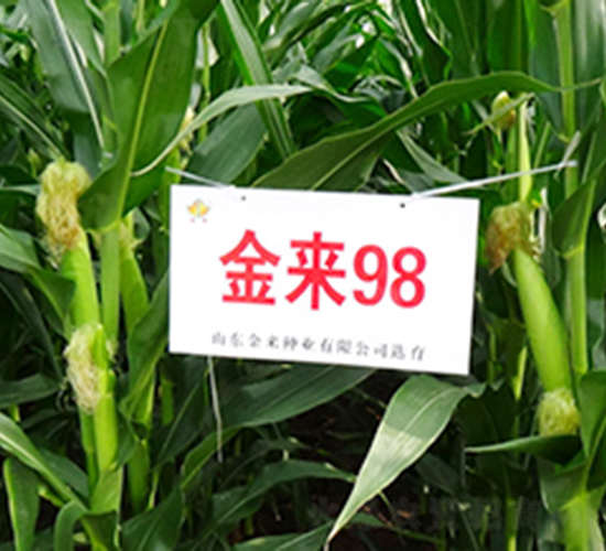 ����98-��������-������ҵ