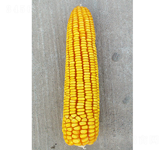 ���622-��������-�����ҵ