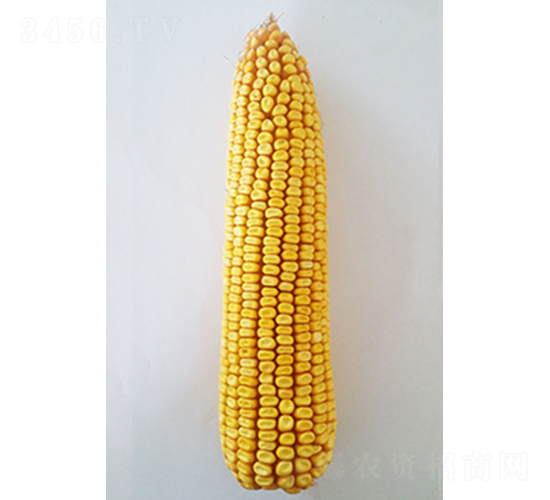 ���208-��������-�����ҵ