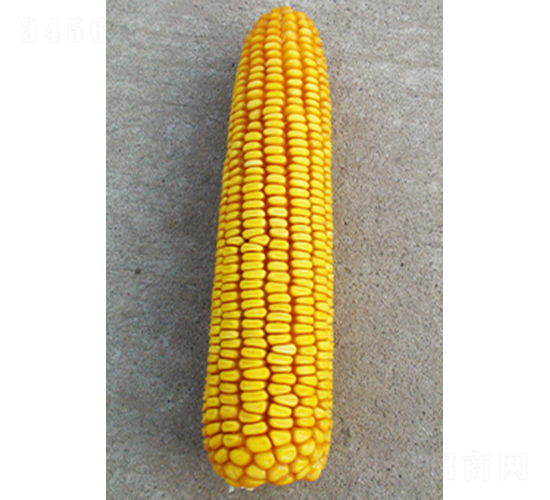 ���202-��������-�����ҵ
