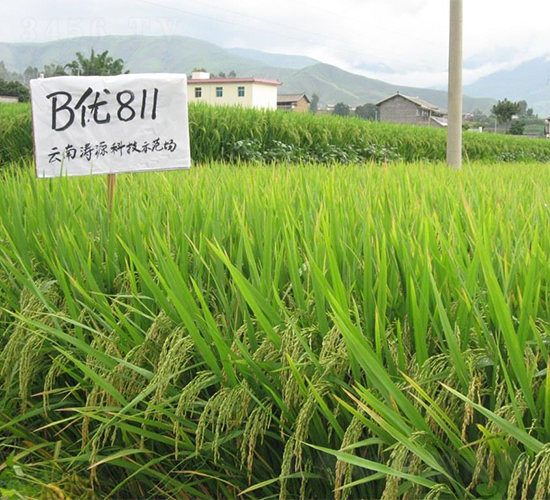 B��811-ˮ������-����ũҵ