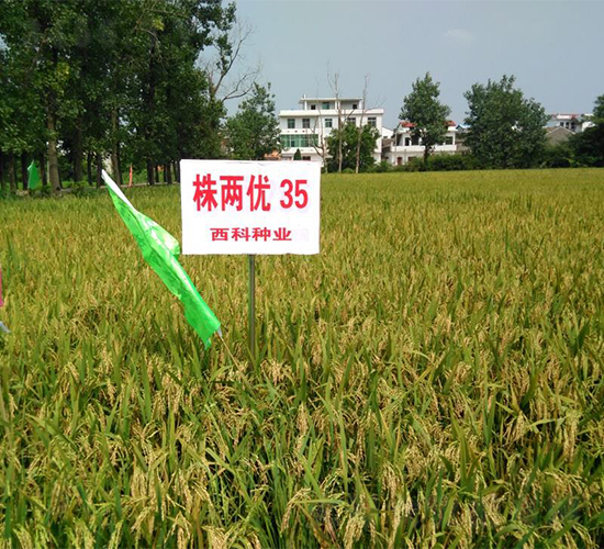 ������35-ˮ������-����ũҵ