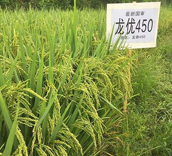 ����450-ˮ������-����ũҵ