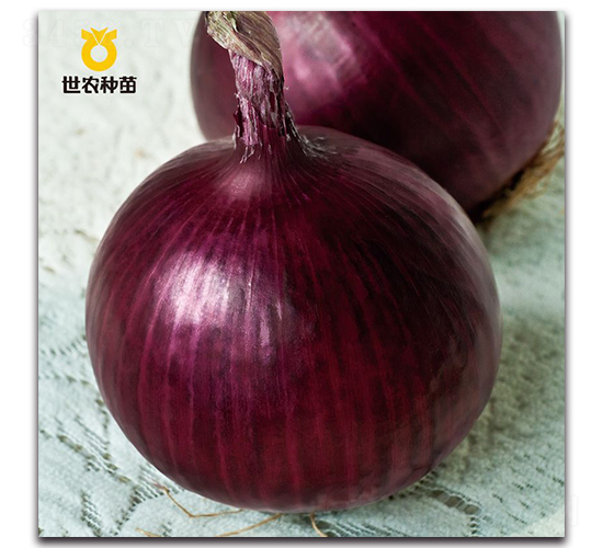 ��ΰ451-�������-��ũ����