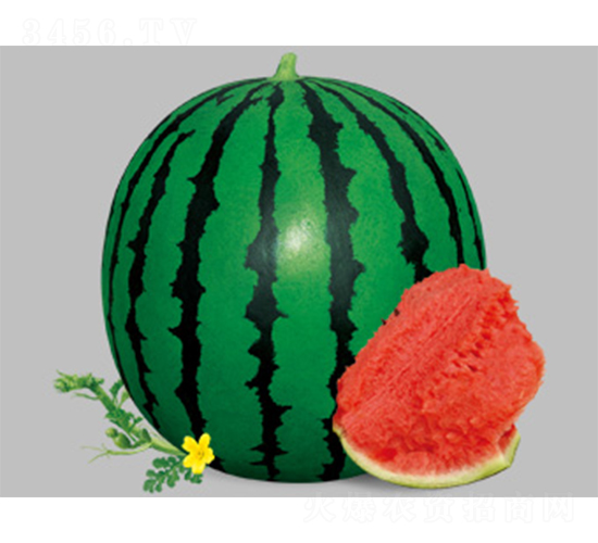 �汦�����-��������-������ҵ