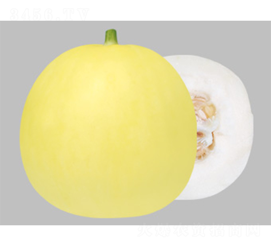 ����20-�������-������ҵ