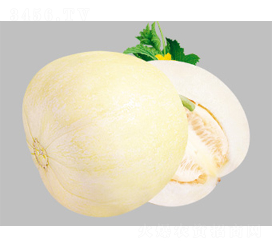 �����ĺ�-�������-������ҵ