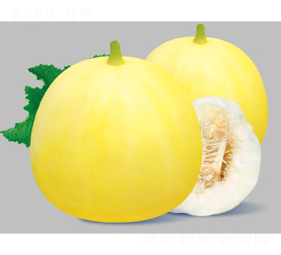 �ǳ�����-�������-������ҵ
