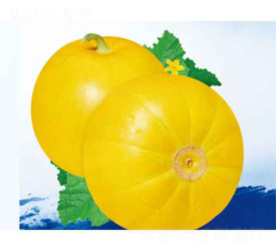 �ƽ𱦶���-�������-������ҵ