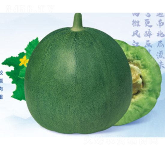 ���Ǵ౦-�������-������ҵ