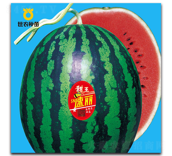 SN����-��������-��ũ����
