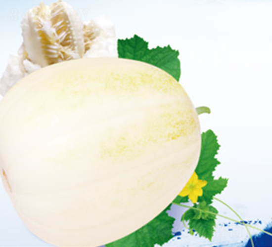 ����198-�������-������ҵ