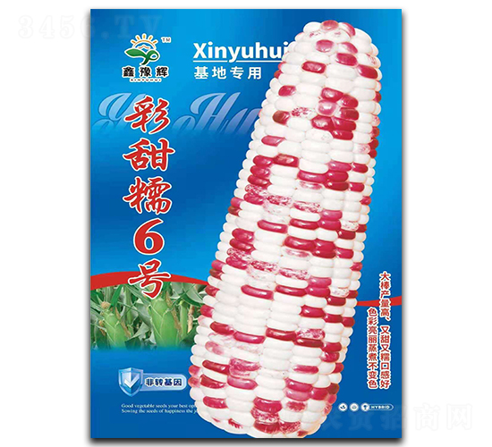 ����Ŵ6��-��������-ԥ����ҵ