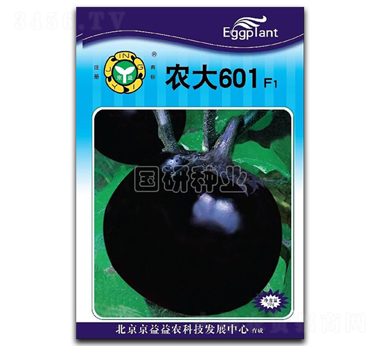 ũ��601-��������-������ҵ