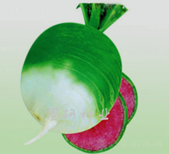 �������ú�-�ܲ�����-������ҵ