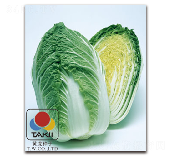 TI-07M-�ײ�����-��������