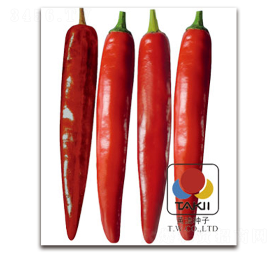 һ���콾-��������-��������