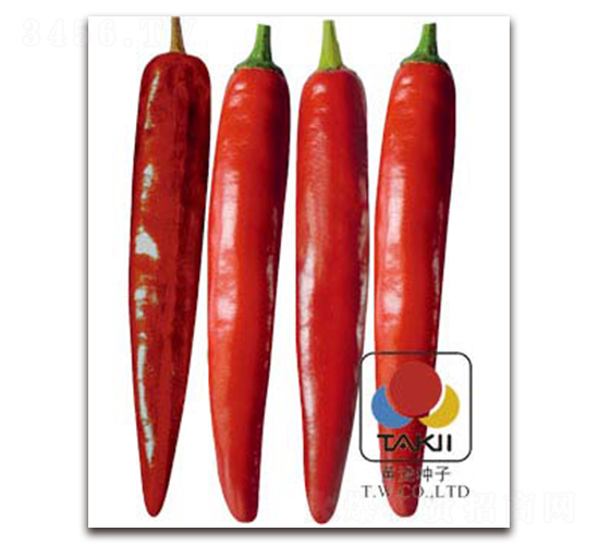 �콾����-��������-��������