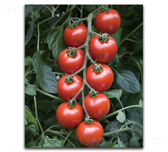 TI-101��ӣ�ҷ��ѣ�-��������-��������