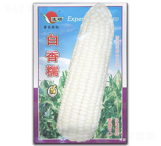 ����Ŵ-Ŵ��������-�ʴ�ũҵ