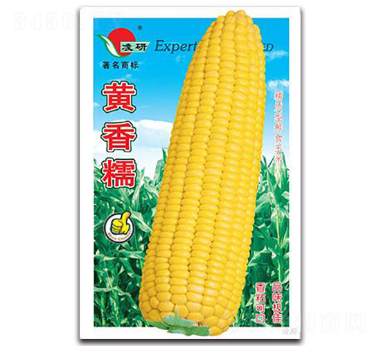 ����Ŵ-Ŵ��������-�ʴ�ũҵ