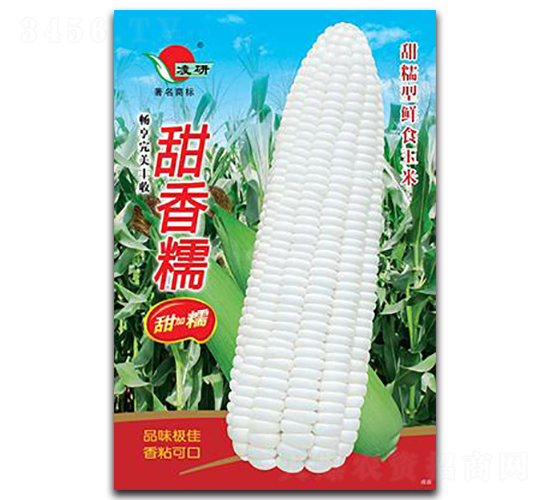 ����Ŵ-Ŵ��������-�ʴ�ũҵ